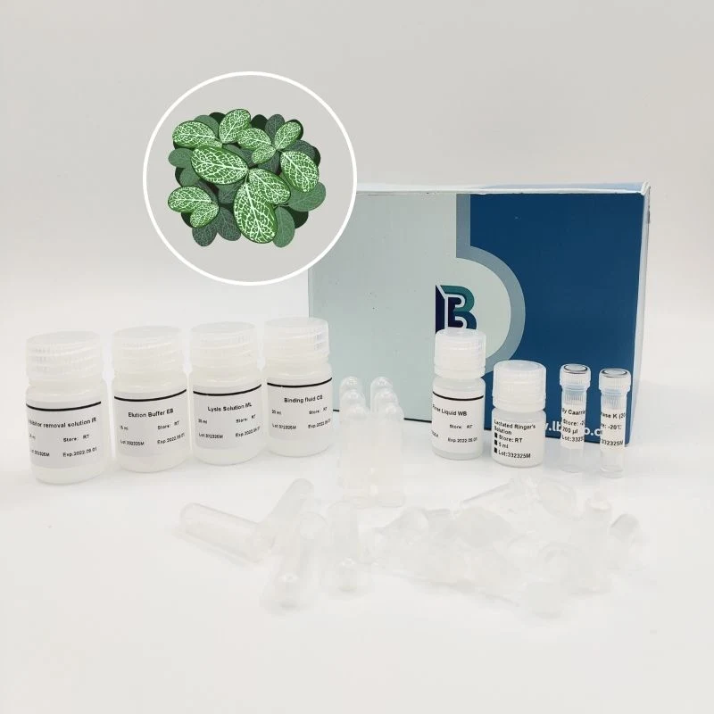 Improved Ctab DNA Rapid Extraction Form Plants DNA Extractiontest Kit ...